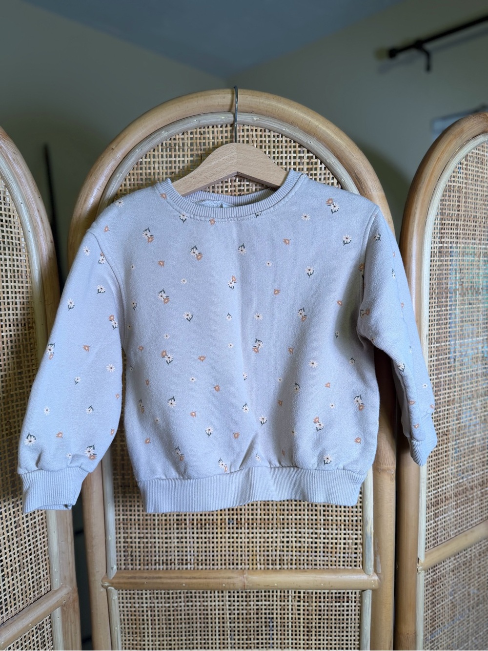 Zara Toddler Floral Sweatshirt